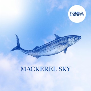 Mackerel Sky lyrics | Boomplay Music