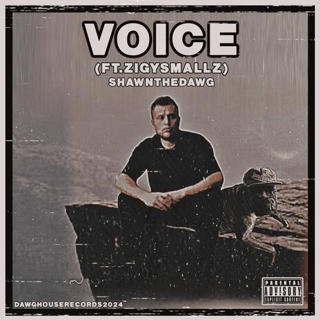 Voice ft. zigysmallz | Boomplay Music