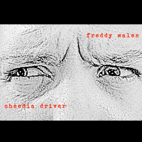 Cheedia Driver
