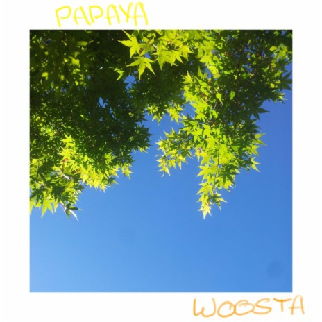 Papaya | Boomplay Music