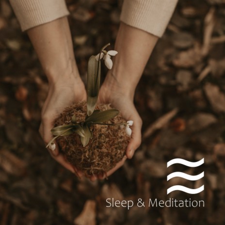 Soothing womb sounds for deep sleep | Boomplay Music