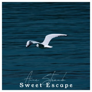 Sweet Escape