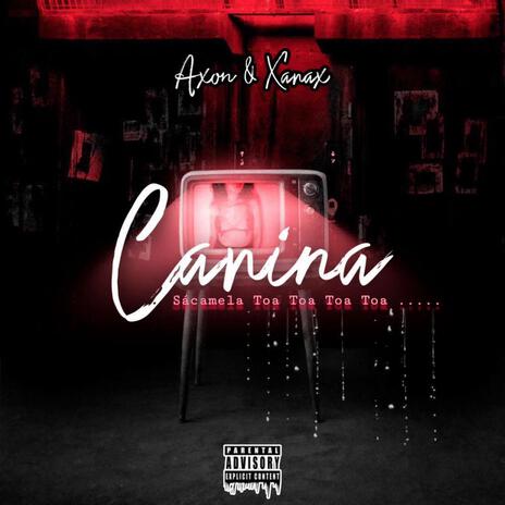 Canina ft. Xanax | Boomplay Music