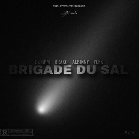 BRIGADE DU SAL ft. Albinny, Brako932 & Flek | Boomplay Music