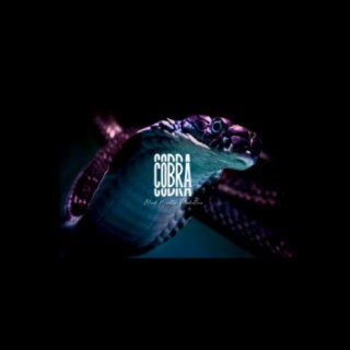 Cobra (Instrumental)