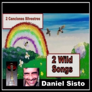 2 Wild Songs