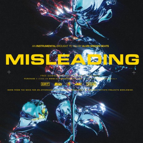Misleading | Boomplay Music
