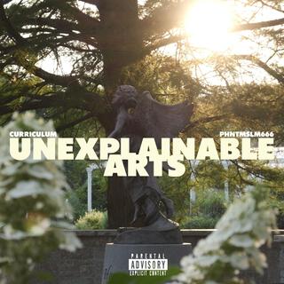 UNEXPLAINABLE ARTS