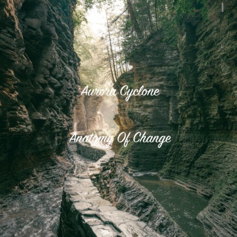 Anatomy Of Change | Boomplay Music