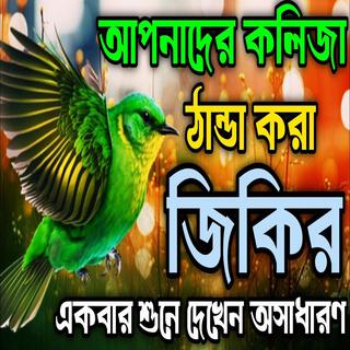 আপনাদের কলিজা ঠান্ডা করা জিকির একবার শুনে দেখেন অসাধারণ ll প্রাণ জুড়ানো নবীর জিকির ll জিকির নতুন