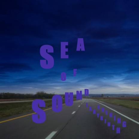 Sea Of Sound (Levels) | Boomplay Music