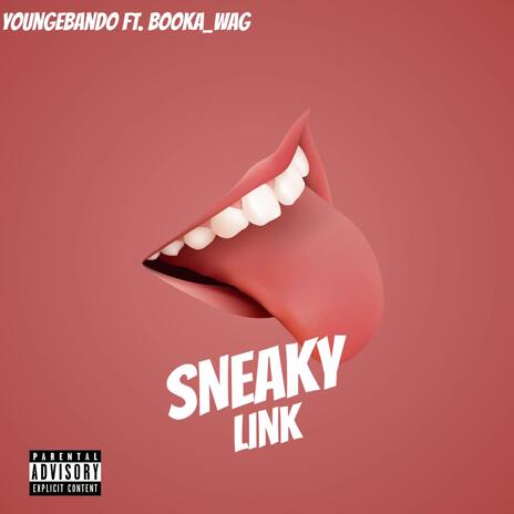 Sneaky Link | Boomplay Music