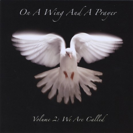 On A Wing and A Prayer | Boomplay Music