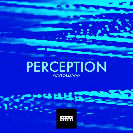 Perception | Boomplay Music