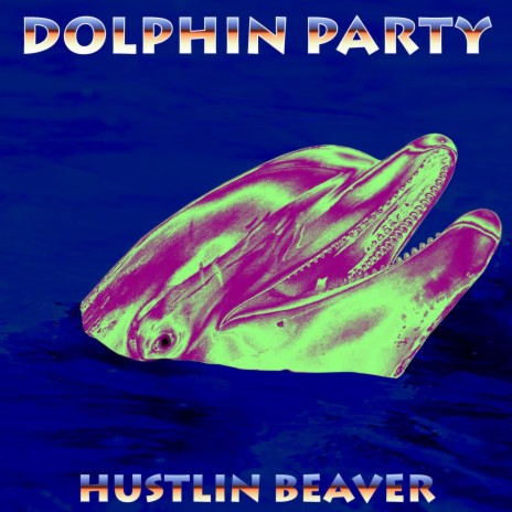 Dolphin Party | Boomplay Music