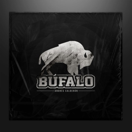 Búfalo | Boomplay Music