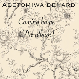 adetomiwa benard