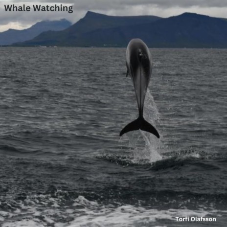 Whale Watching | Boomplay Music