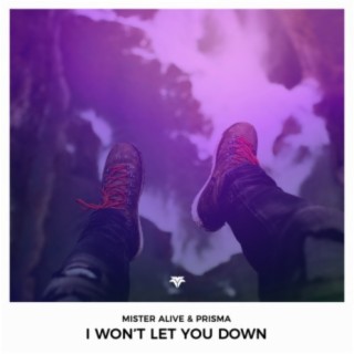 I Won't Let You Down