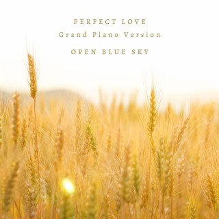 Perfect Love (Grand Piano Version)