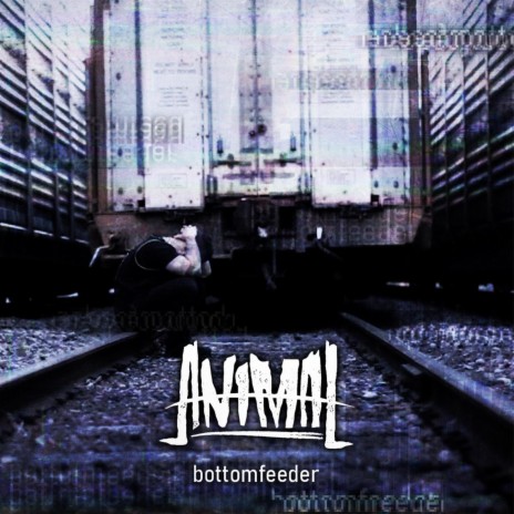 Bottomfeeder | Boomplay Music