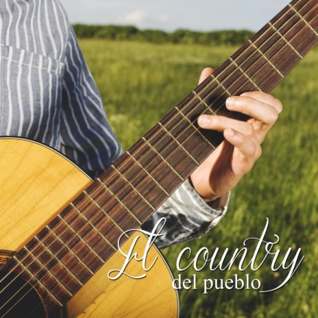 Guitarra Country Dobro Picking