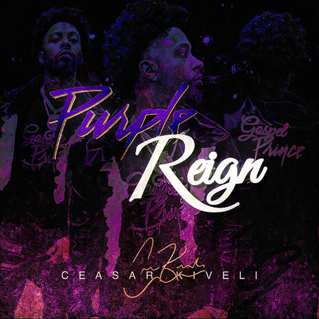 Purple Reign | Boomplay Music