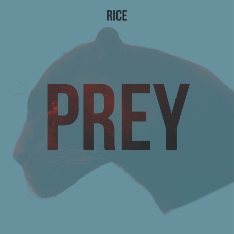 Prey | Boomplay Music