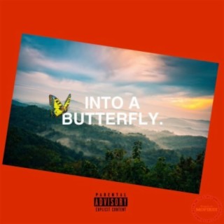 Into a Butterfly