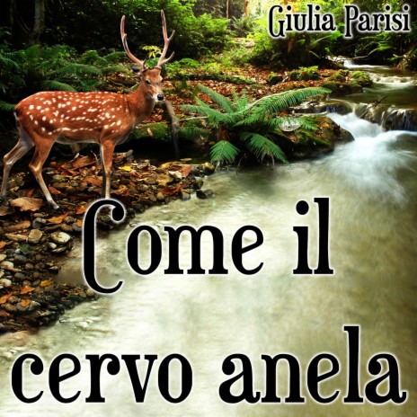 Come il cervo anela (Versione strumentale) | Boomplay Music