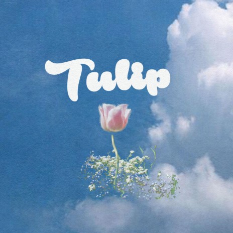 Tulip | Boomplay Music