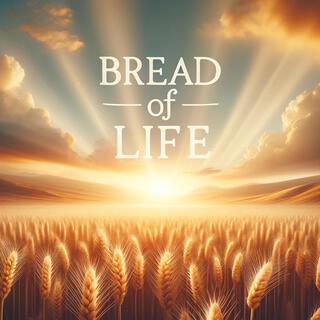 Bread of Life lyrics | Boomplay Music