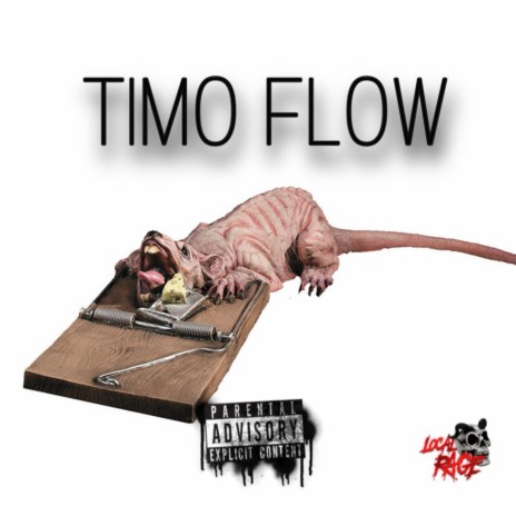 Timo Flow | Boomplay Music