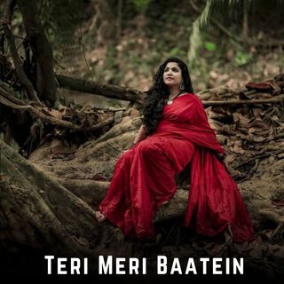 Teri Meri Baatein