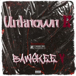 Unknown E/Bawskee V