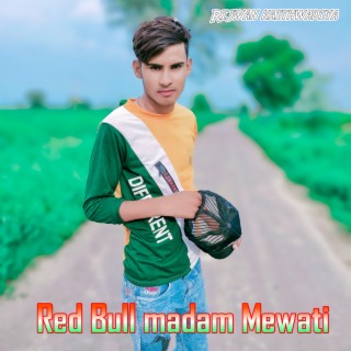 Red Bull Madam Mewati