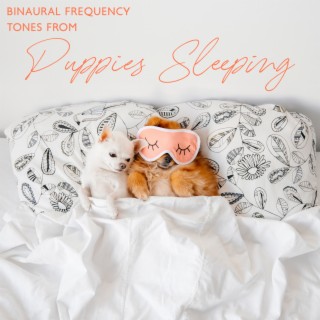 Binaural Frequency Tones from Puppies Sleeping: Behavioral Therapy for Dogs and Cats, Reduce Separation Anxiety, Calm Your Pets