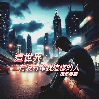 這世界有沒有像我這樣的人 lyrics | Boomplay Music