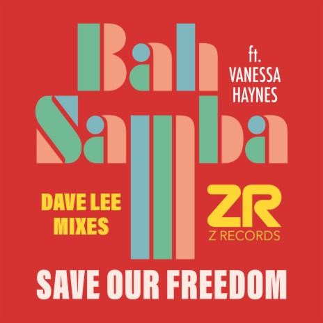 Save Our Freedom (Dave Lee Original Vibe Mix) ft. Dave Lee & Vanessa Haynes | Boomplay Music