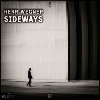 Herr Wegner