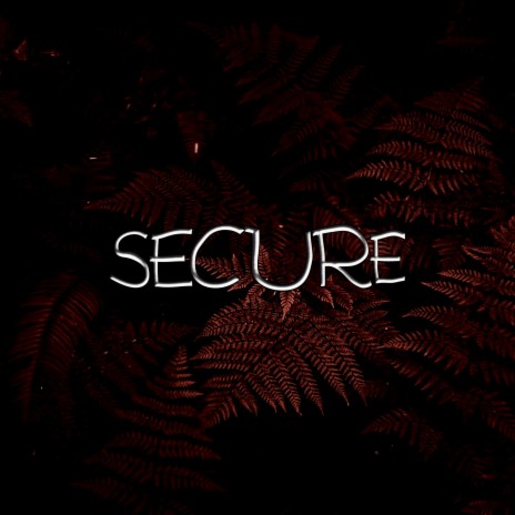 Secure | Boomplay Music