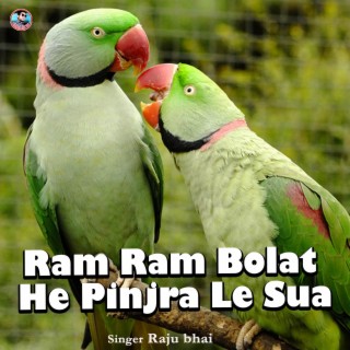 Ram Ram Bolat He Pinjra Le Sua