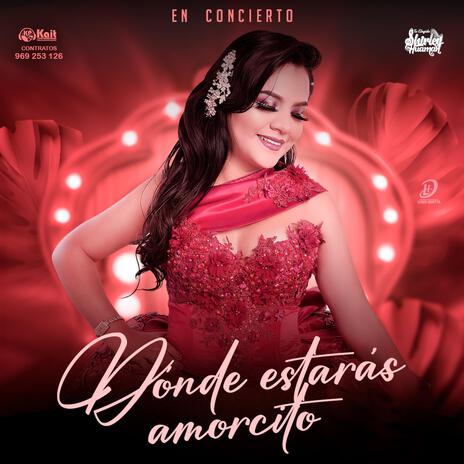 Dónde Estarás Amorcito | Boomplay Music