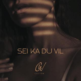 Sei Ka Du Vil lyrics | Boomplay Music