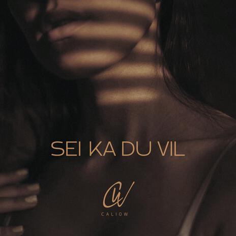 Sei Ka Du Vil | Boomplay Music