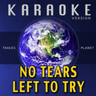 No Tears Left to Try (Karaoke Version)