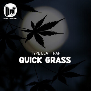 Type Beat Trap ''Quick Grass''