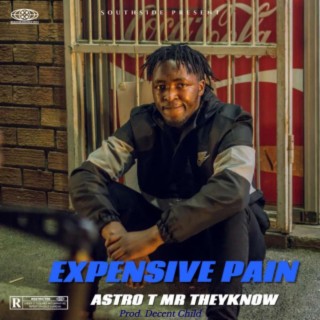 Expensive Pain lyrics | Boomplay Music