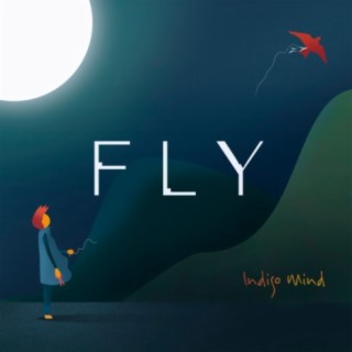 Fly