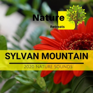 Sylvan Mountain - 2020 Nature Sounds
